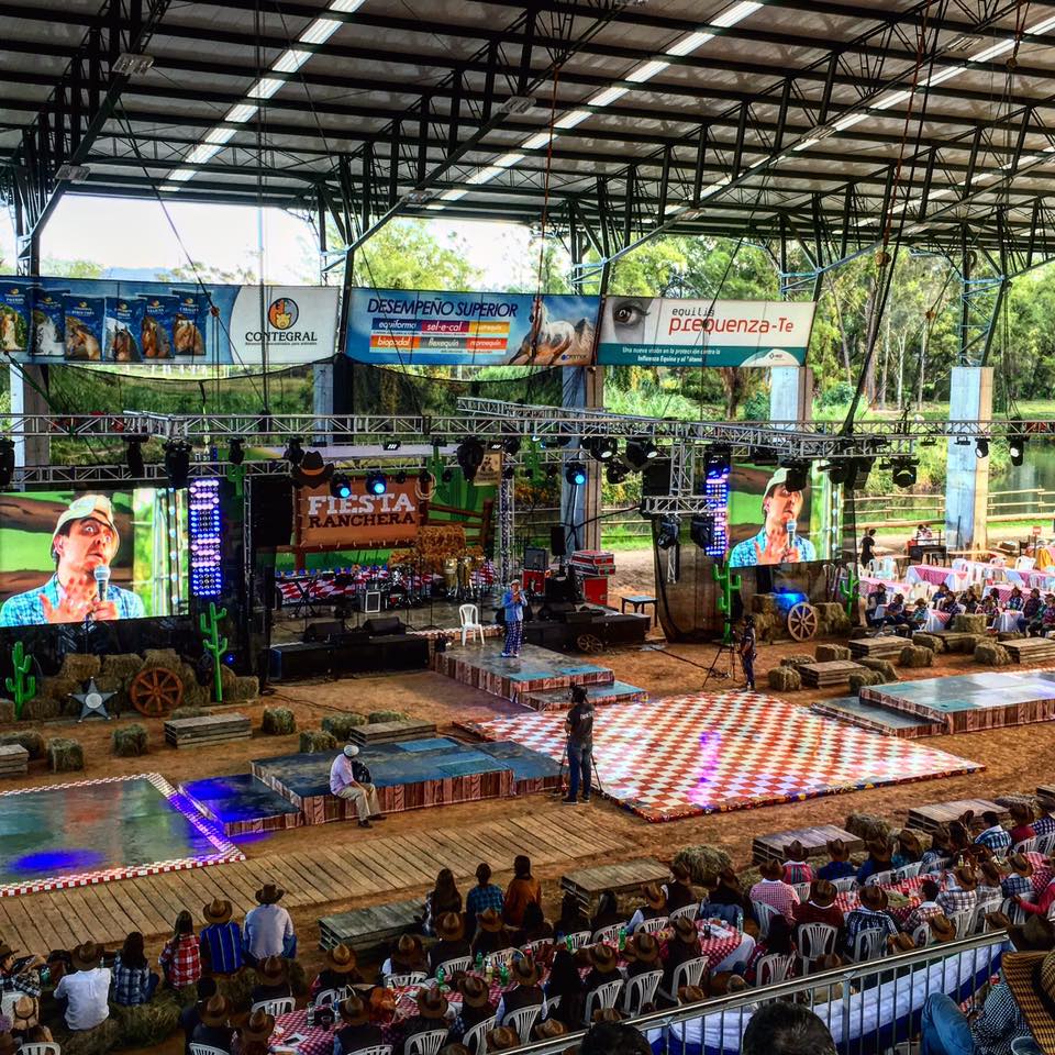 Ranking Producciones — imagen 2